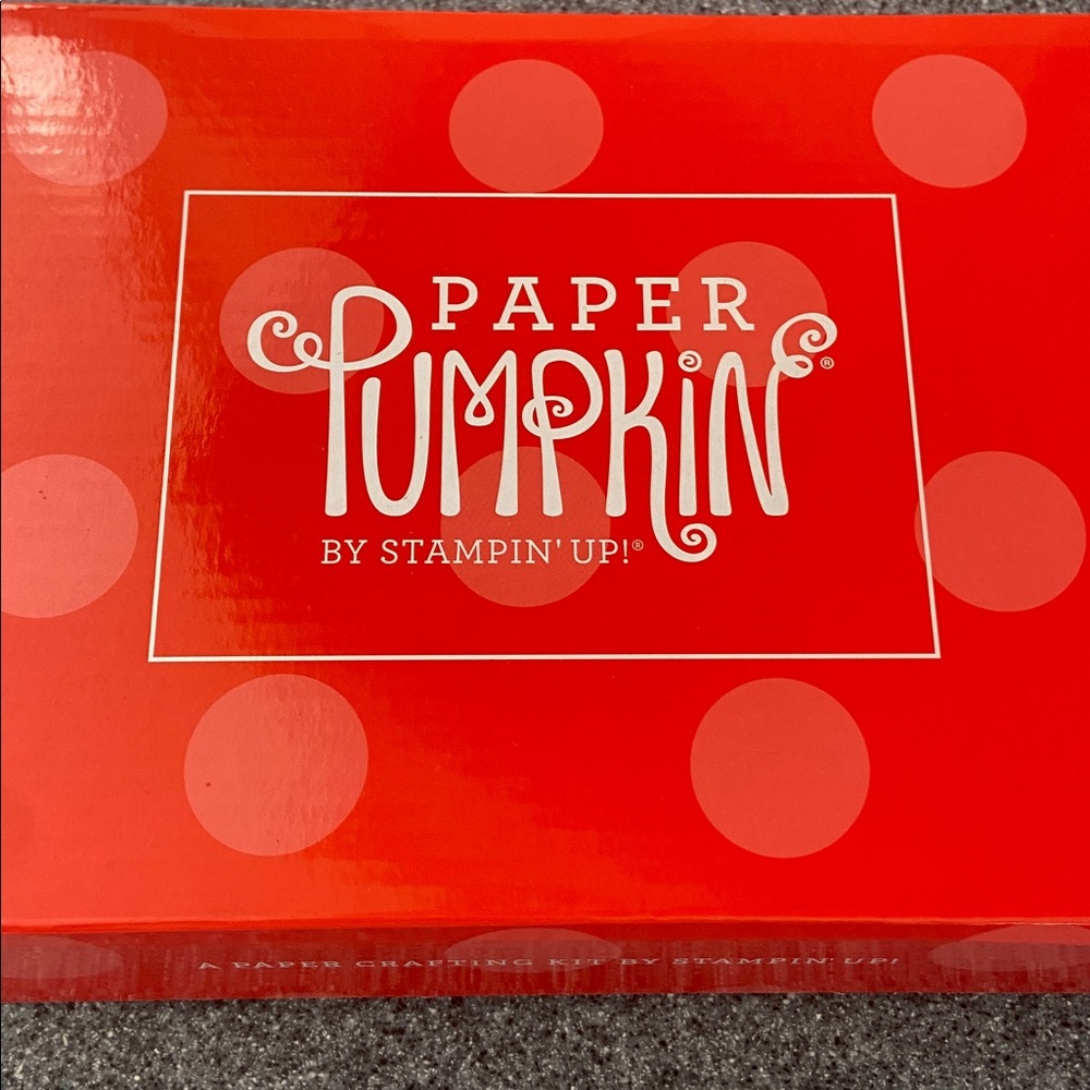 Stampin ‘up Paper pumpkin - August 2024 - Picture 2 of 11